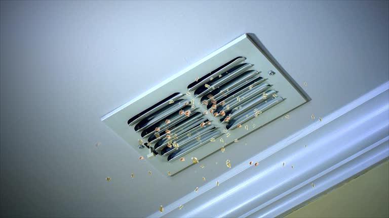 Best Local Air Duct Cleaning Services  in Riesel, TX